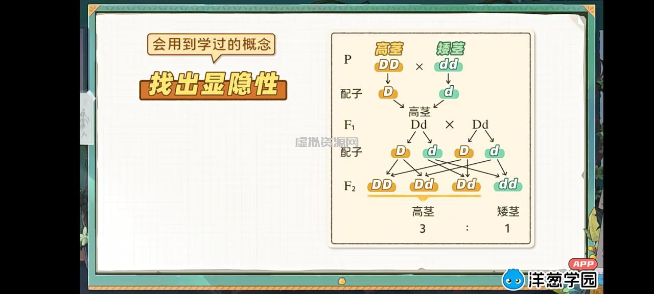 万猛 高考生物二轮复习2022年寒假班课程